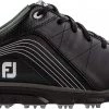 FootJoy Men's 2019 Pro/SL Golf Shoes (Previous Season Style) White/silver